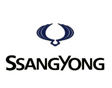 pSSANGYONG