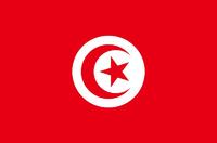 ͻ˹ Tunisia-ܚgӭć(gu)Һ͵؅^(q)а