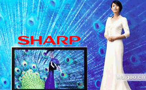 SHARP-C(j)֪Ʒаа