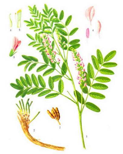 خa(chn)-Ї(gu)(yu)خa(chn)Ʒаа